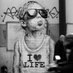 Evandro Xul4 Agwiar (@aguiachula) Twitter profile photo Evandro Xul4 Agwiar (@aguiachula) Twitter profile photo