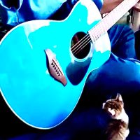 ゆーが (@yugahamunou) Twitter profile photo