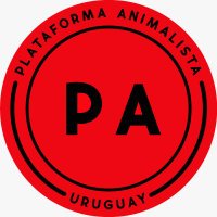 Plataforma Animalista(@PA_Uruguay) 's Twitter Profile Photo