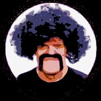 Wąsaty Janusz 🇵🇱✝️ (@wasatyjanusz) 's Twitter Profile