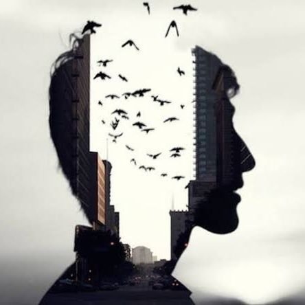 SachinB9216's profile picture. 