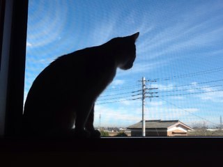 freefreef's profile picture. 好きなことを好きなときに好きな人とする！！！