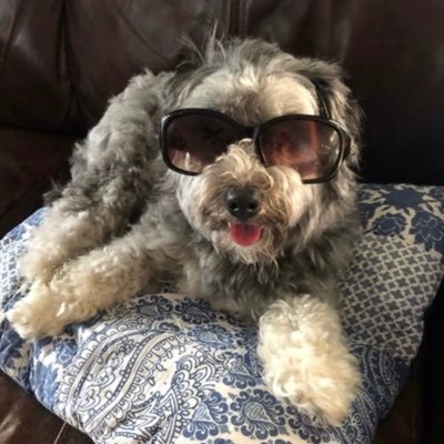 Pjpkkp2003's profile picture. Just a fed up middle class couple enduring the insanity of 🤡🌎 and super pissed off at the globohomo communist ass clowns!.