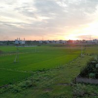 ILHOK2023 (@sunrisesagain18) 's Twitter Profile