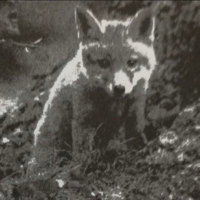 imotoryo89's profile picture. 