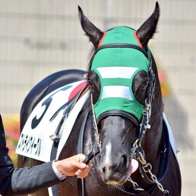 reijiro_1's profile picture. 13年産からキャロットクラブで一口馬主デビュー◇現役馬:ストリンジェンド・ソルナシエンテ・ガルディエンヌ・ギルランダ・ヴァルキュリアの24・レオパルディナの24◇アイコンはストライクイーグル◇ISTJ-A◇ラーメン◇日本株・NISA◇ファイターズ