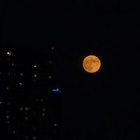 cornerofspace (@cornerofspace) 's Twitter Profile