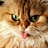 kkminso's profile image