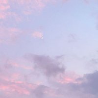 DalMoon (@__dalmoon) 's Twitter Profile