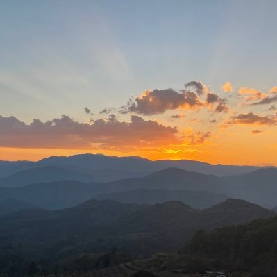 gamemetrics_a's profile picture. 民间量化分析师