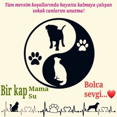 Hülya Birvar_Sessiz Canlıların Sesi Olalım 🐾