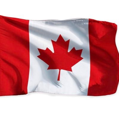 thefringeCindy's profile picture. 