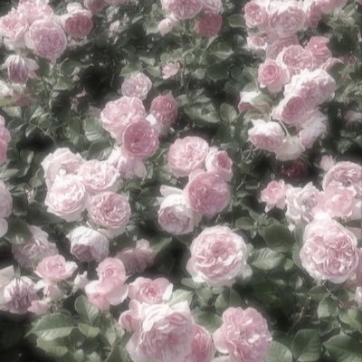 furegario9's profile picture. ドルオタ