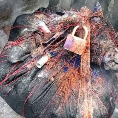 ARE YOU TIRED OF FEELING STUCK OR CURSED.
This post is a sign that there’s still hope to change your life for the better
CONTACT ME NOW +27640398187