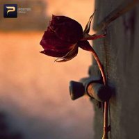 ريم الأسعد (@rym_alas1884) 's Twitter Profile