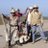 Fernand39757121's profile image