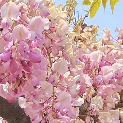 2Hawx_'s profile picture. 20↑
雑多