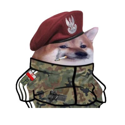 vatnikruby's profile picture. 🇫🇮  #NAFO soldier
Interested also in Tech, (I Use Arch BTW) Cybersecurity and Coding