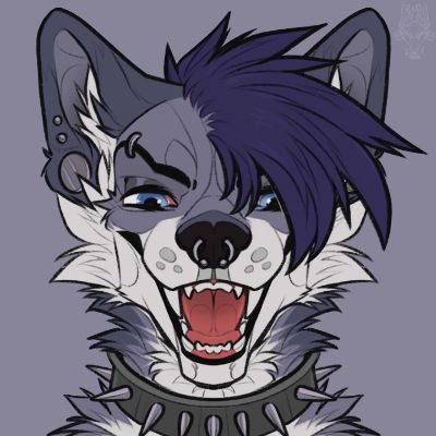 Rex the Wolfさんのプロフィール画像