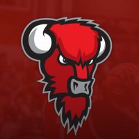 BISONS (@biisonit) 's Twitter Profile