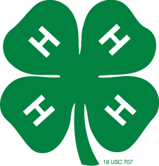 San Patricio 4-H