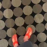 Dodo Bo (@dodobo8) Twitter profile photo