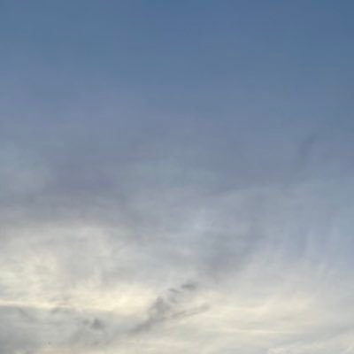 champumin's profile picture. 