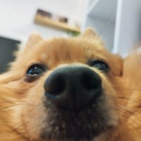 Patricija (@iilooovepickles) 's Twitter Profile