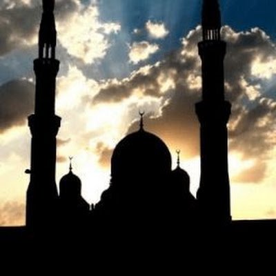 Jsshahriar16241's profile picture.
