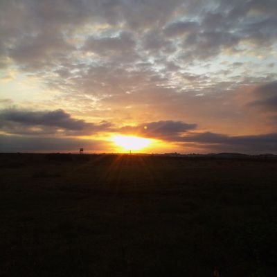 wawire_moses's profile picture. Am of sound mind.
IF U CAN'T CONVINCE THEM, CONFUSE THEM.