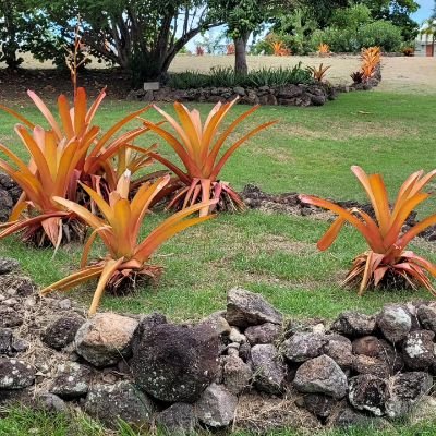 Kace71's profile picture. Reader. Writer. Thinker.