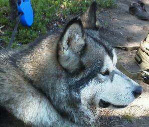 mtligget's profile picture. 