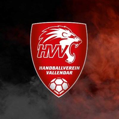 Handballverein Vallendar▪️Oberliga Rheinland-Pfalz/Saar ▪️Verbandsliga Ost ▪️Jugend-Teams