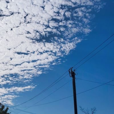 saka_iii03_'s profile picture. RUQS 42期/ひさかたの