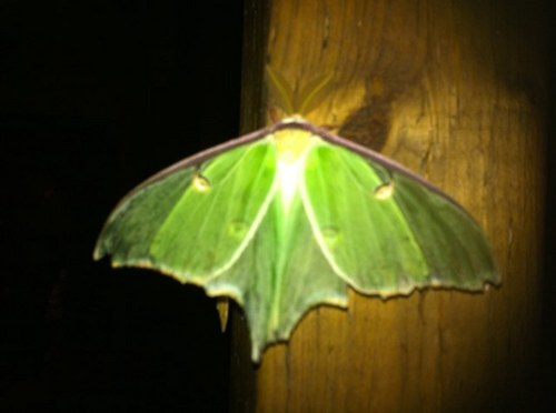 MPDelaney's profile picture. 