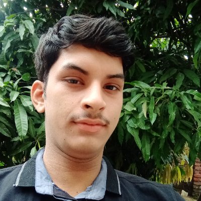 PurnenduMondal_'s profile picture. Software Engineer working remotely