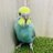 DCw73726's profile image