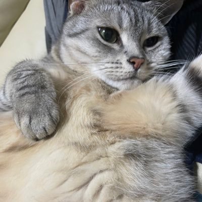 ivr/放射線科/ jcircle /イメプリ優秀賞2023秋/打田賞2023/ ベスト穿刺ドレーナジスト賞2024/穿ドレ 匠の技賞2025/阪神ファン/海外サッカー/ゴルフ/