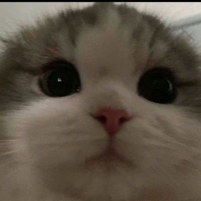 Rockraker's profile picture. The Truth Is