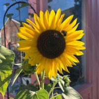 Jessica Myers (@jmyers_photos) 's Twitter Profile Photo