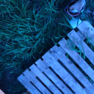 ar_ar_roz's profile picture. 