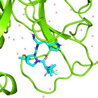 baolong pan (@baolong_pan) 's Twitter Profile Photo