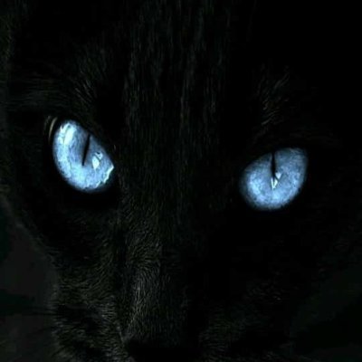 NOELEE_A_P's profile picture. REMEMBER (life is not all about you)