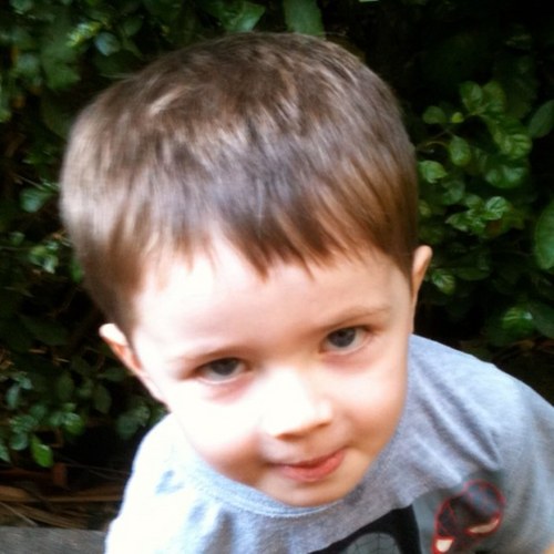 Justin walshe Profile