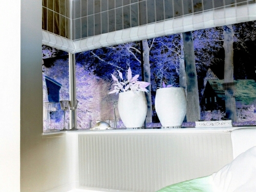 muuske71's profile picture. 