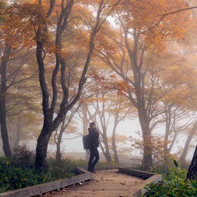 Listening Beyond Words. Capturing the quiet poetry where light and time converge. IPA 2025 — 1st Prize, Fine Art/Landscape