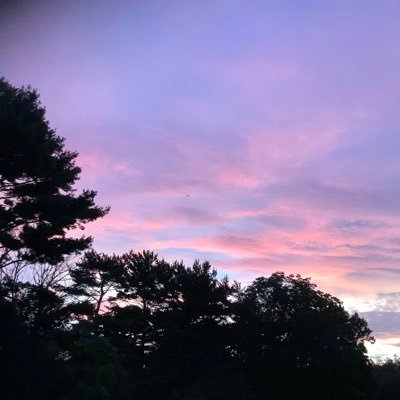 uhm00334's profile picture. Passionate about peace, animals, the ocean, climate, civil rights, guitar and candy though not always in that order. 🇺🇦✊🏿🏳️‍🌈☮️🌎🦥🐬🐋🐝