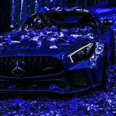 collo_dron's profile picture. Deam