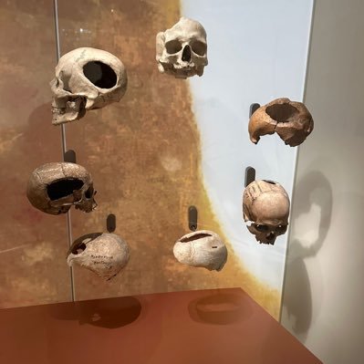 Yll_Loxhaj's profile picture. 