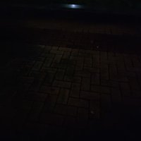 朱颜辞镜花辞树 (@maodouxiaobao) 's Twitter Profile